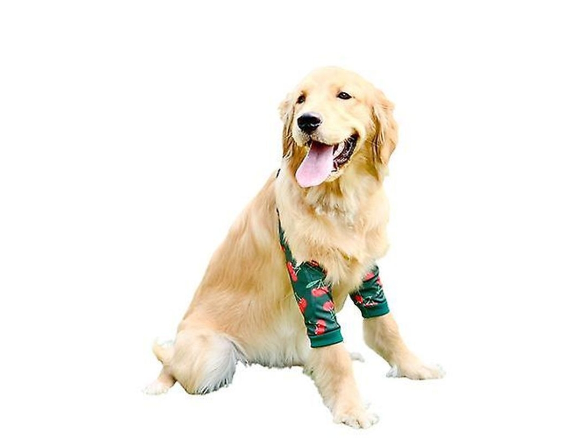 2026 protector de Cotovelo para Cães Médios e Grandes Joelheiras Anti desgaste Roupa de Mascota Proteção Articular