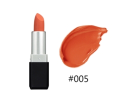 Labial Mate Húmedo Mate Impermeable De Larga Duración 24 Colores Herramienta De Maquillaje (05)