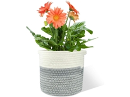 Cesta De Algodón Tejida Plegable Con Asas, 20x20cm, Para Plantas, Ropa Y Juguetes, Decoración Hogar
