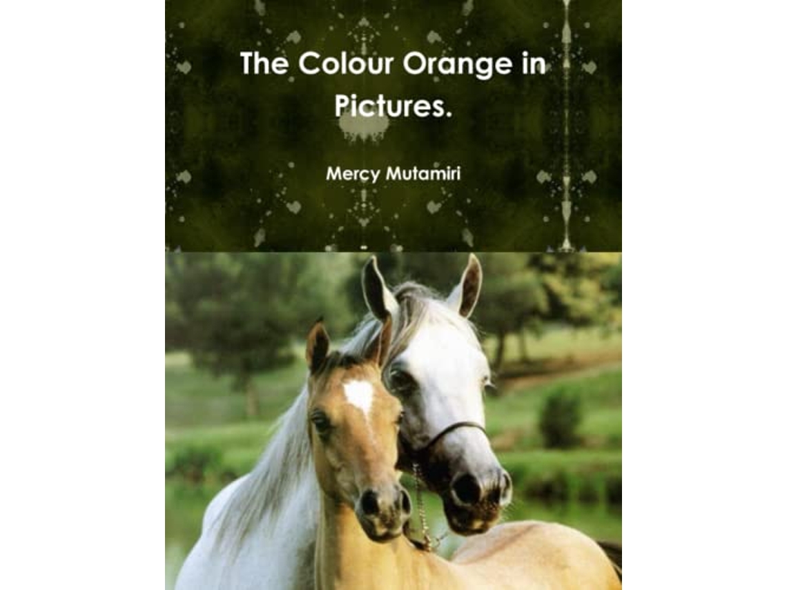 Livro The Colour Orange in Pictures de Mercy Mutamiri (Inglês)