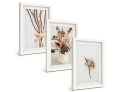 Composição De Quadros Flores, Galhos, Minimalista Espelharte (3 Peças 20x30 Cm)