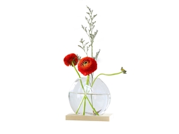 Vaso De Madeira Para Hidroponia Decorativa E Crescimento Planta