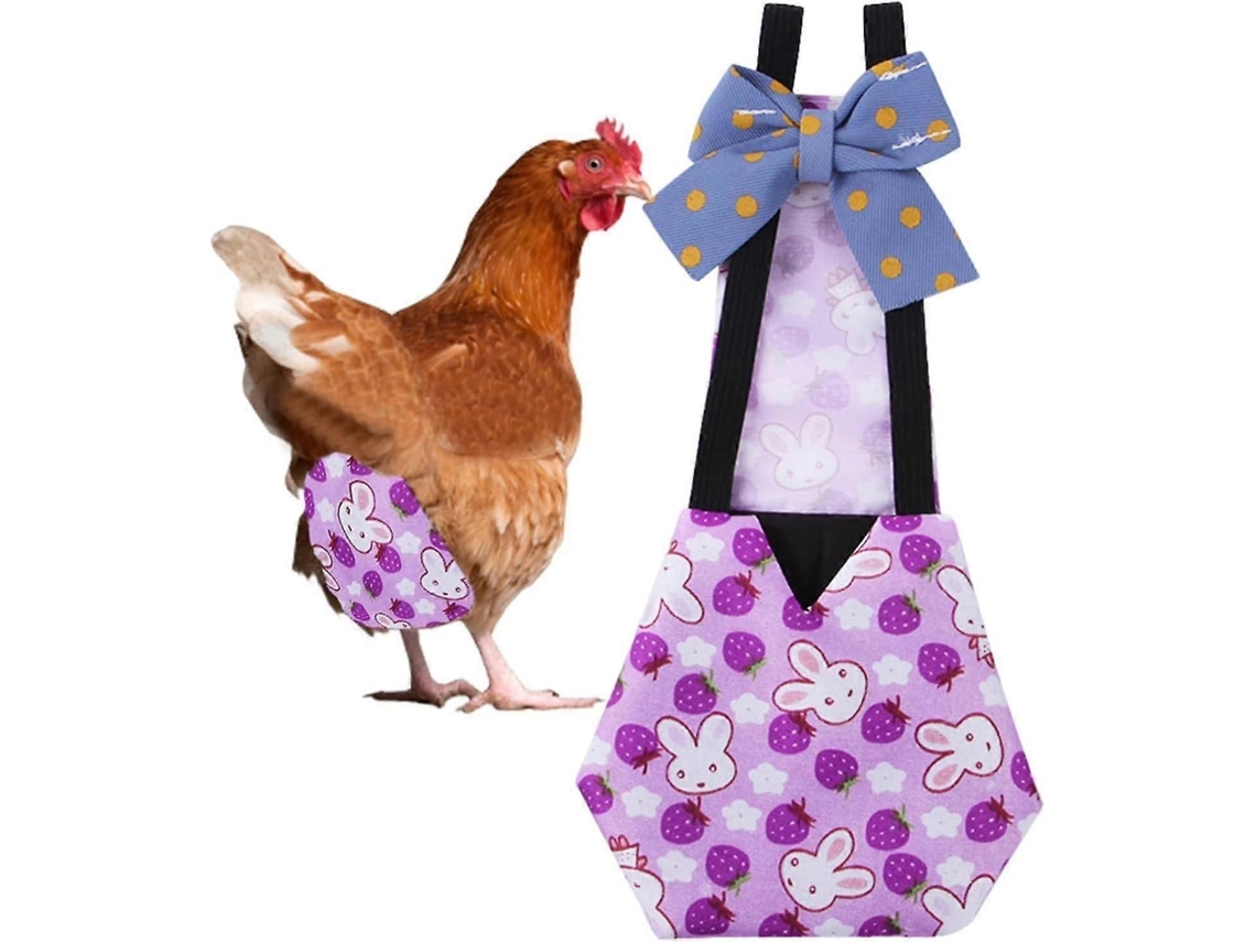 Fraldas Para Galinhas E Patos De Estimação