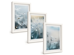 Galeria De Pinturas Murais Gotas De Orvalho Em Dentes-de-leão Moldura Branca Fotos Para O Escritório Espelharte (3 Peças 20x30 Cm)