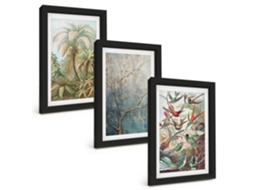 Galeria De Pinturas Muraisplantas Tropicais, Pássaros, Natureza Moldura Preta Fotos Para O Escritório Espelharte (3 Peças 20x30 Cm)