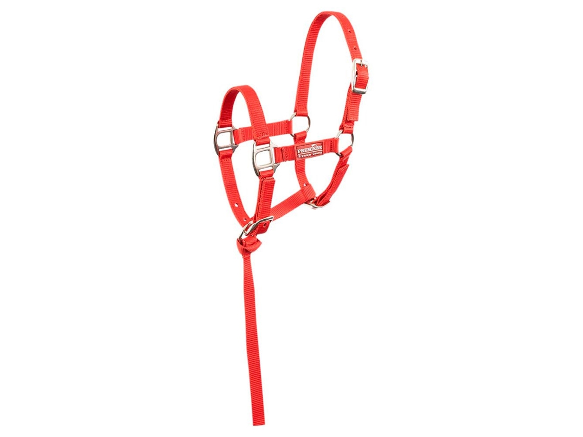 Cabeçada Foal Briskwith Mini Lead Vermelho Foalpremiere