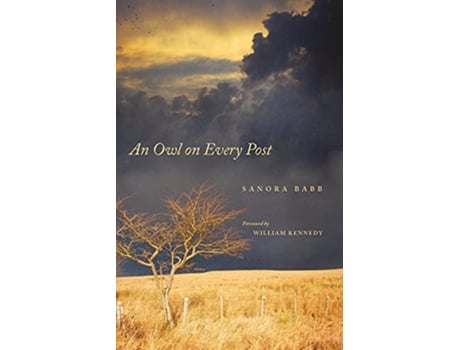 Livro An Owl on Every Post de Sanora Babb (Inglês)
