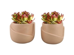 Juego De 2 Macetas De Cerámica De Forma Irregular Para Plantas Pequeñas Cactus Suculentas