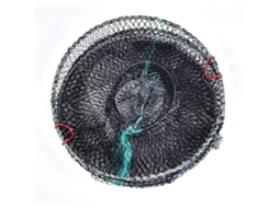 Armadilha de Peixe Plegável 33cm