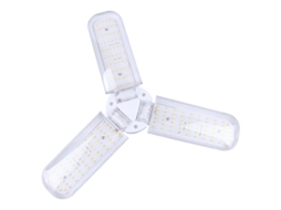 1pcs Luz Suculenta
