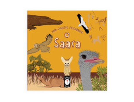 Livro Mini Curiosos Descobrem O Saara De Clarice Uba (português Do Brasil)