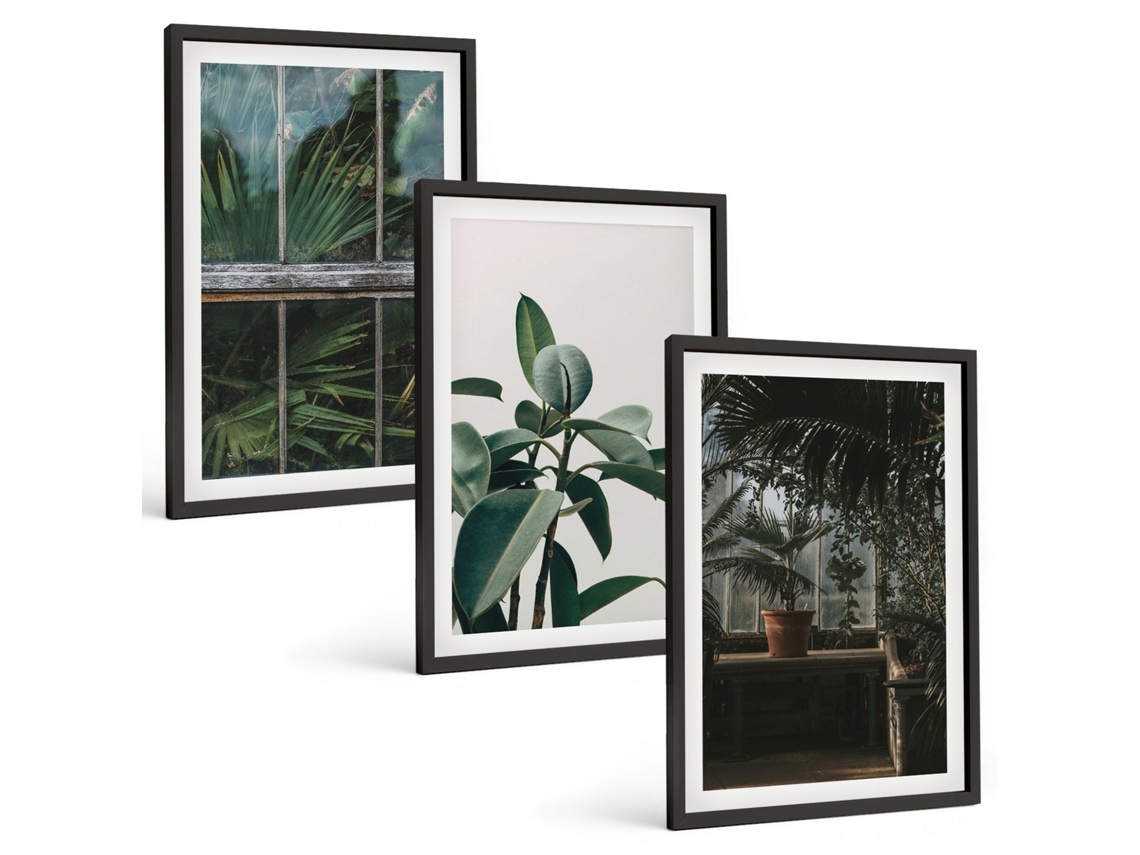 Conjunto De Pinturas Folhas Verdes Na Janela, Plantas Espelharte (3 Peças 40x60 Cm)