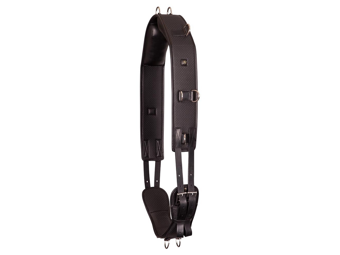 Surfaix BR EQUITATION Gentle
