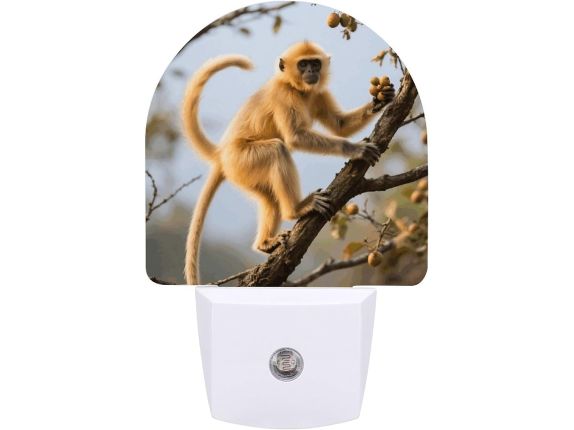 Luminária De Parede Com Sensor Crepuscular, Led Moderno 0,5 W Design