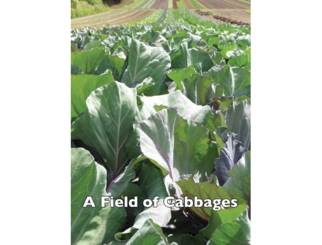 Livro A Field Of Cabbages De Frost, Allen Et Al. (inglês)