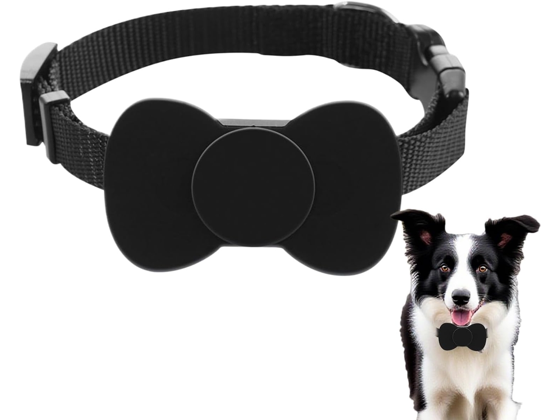 Coleira Gps Inteligente Gatos Com Rastreador - Modelo Durável