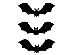 Laxiscreed Luzes Led De Halloween Com Morcego E Aranha Para Decoração De Festas E Eventos