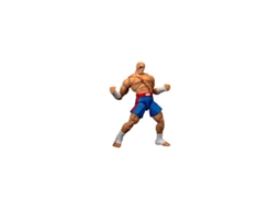 Figura Sagat Street Fighter II The Final Challengers 19 cm
