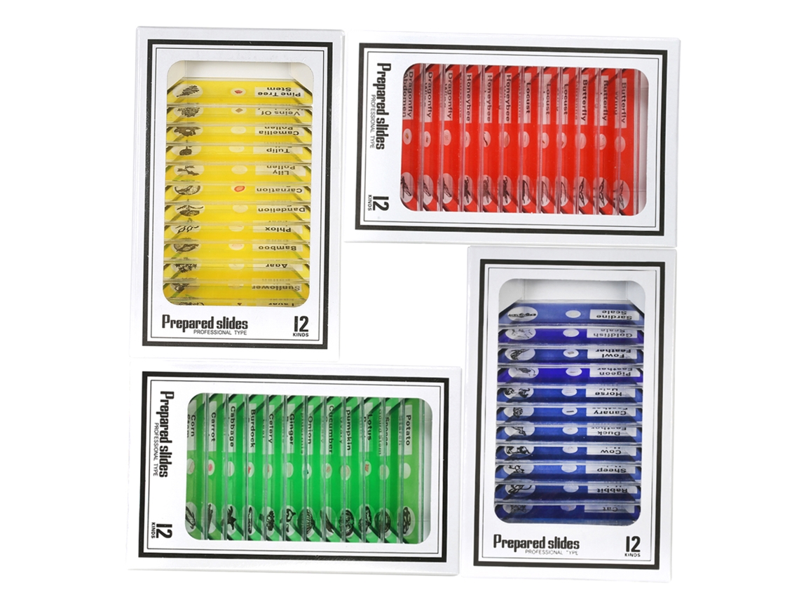 Yuru conjunto de 48 lâminas de microscópio preparadas para crianças com espécimes diversos