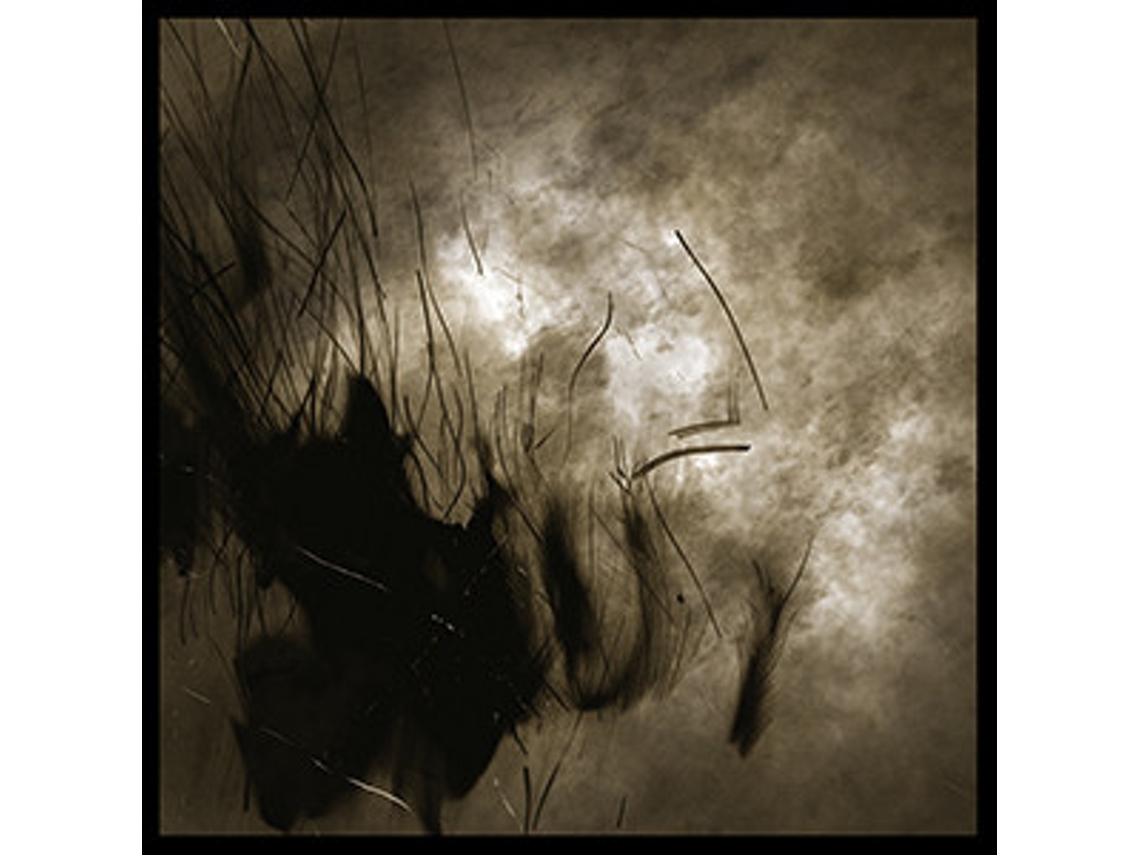 CD Weird Fate - Cycle Of Naught