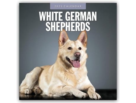 Livro German Shepherd, White 2025 Square Wall Calendar de Red Robin (Inglês)