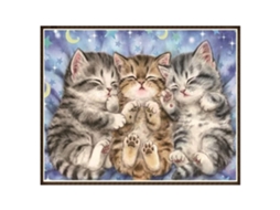 Primerox diy Pintura de Diamantes Strass Arte Embroider Decor Casa Colorido 8710