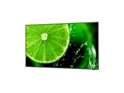 Monitor NEC 60005052 (Preto - D-LED - 49" - 4K Ultra HD - Tomada EU - 8 ms)