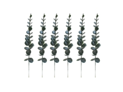 Arranjo de Eucalyptus Verde, 38cm LAXISCREED