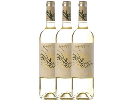 Orowines Kentia Albariño Rías Baixas 75 cl (Caixa de 3 unidades)