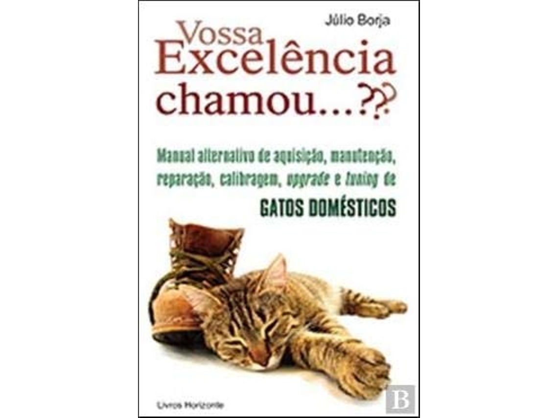 Livro Vossa Excelência Chamou...???  de Julio Borja (Português)