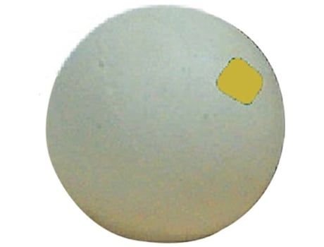 P. cuadro Bl Sou Euskalduna