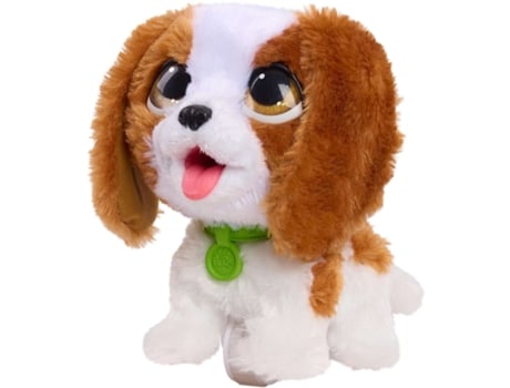 King Charles Spaniel Poop A Lots Furreal
