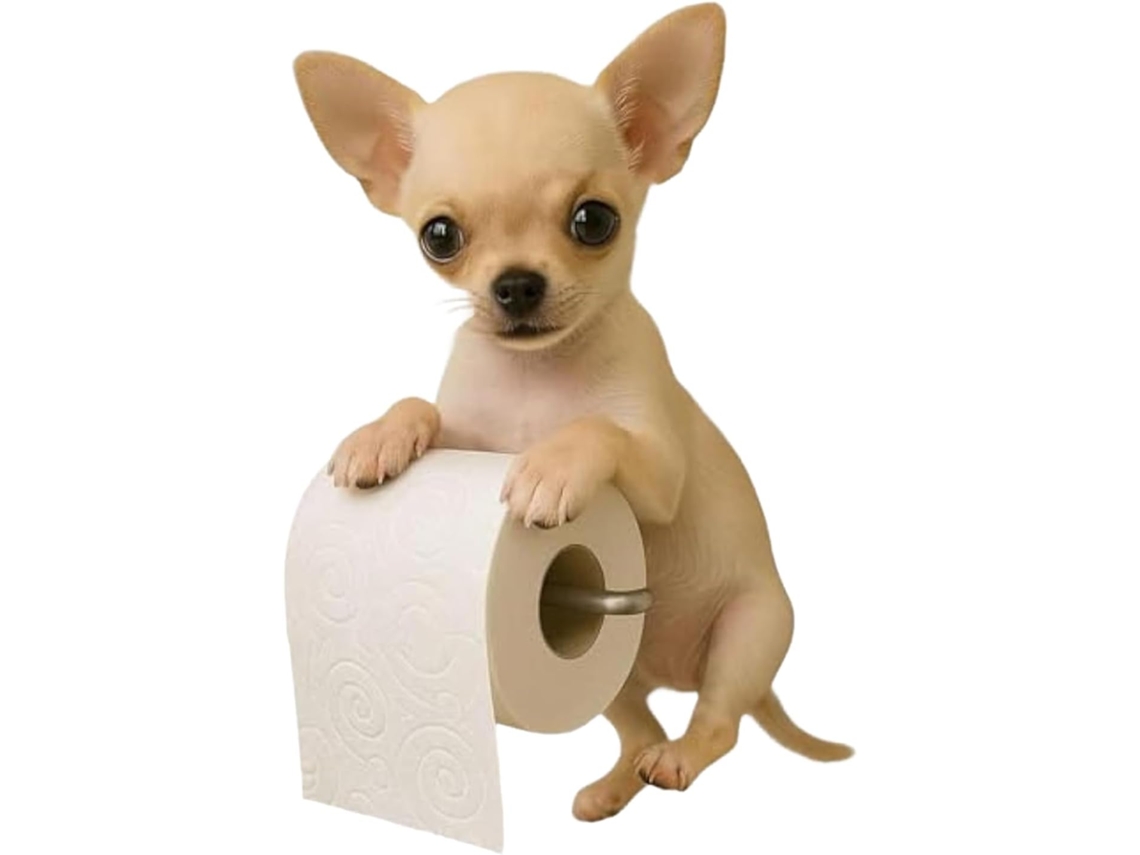 Porta Papel Higiênico, Dispensador De Lenços Papel E Organizador