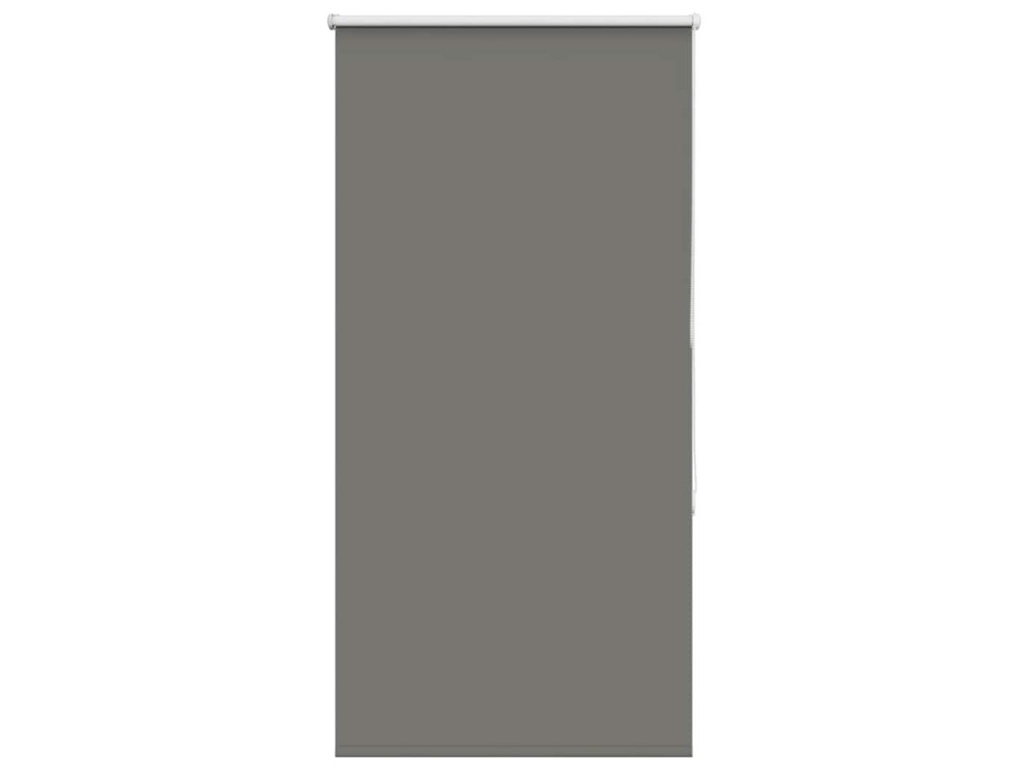 Roller Blind, Roller Blinds Vidaxl Cinzeto Poliéster (n/a)