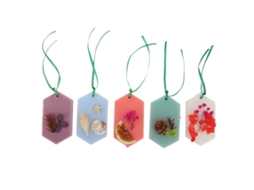 5pcs Sobres De Cera Aromática Floral Frutal Para Dormitorio Y Armario Aromaterapia Larga Duración