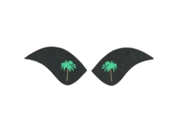 Patch Bordado de Palmeira Verdeequitheme