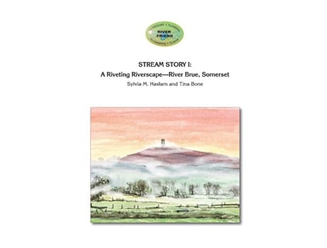 Livro STREAM STORY I A Riveting RiverscapeRiver Brue Somerset River Friend Series Book 2 2 de Sylvia Mary Haslam Tina Bone (Inglês)