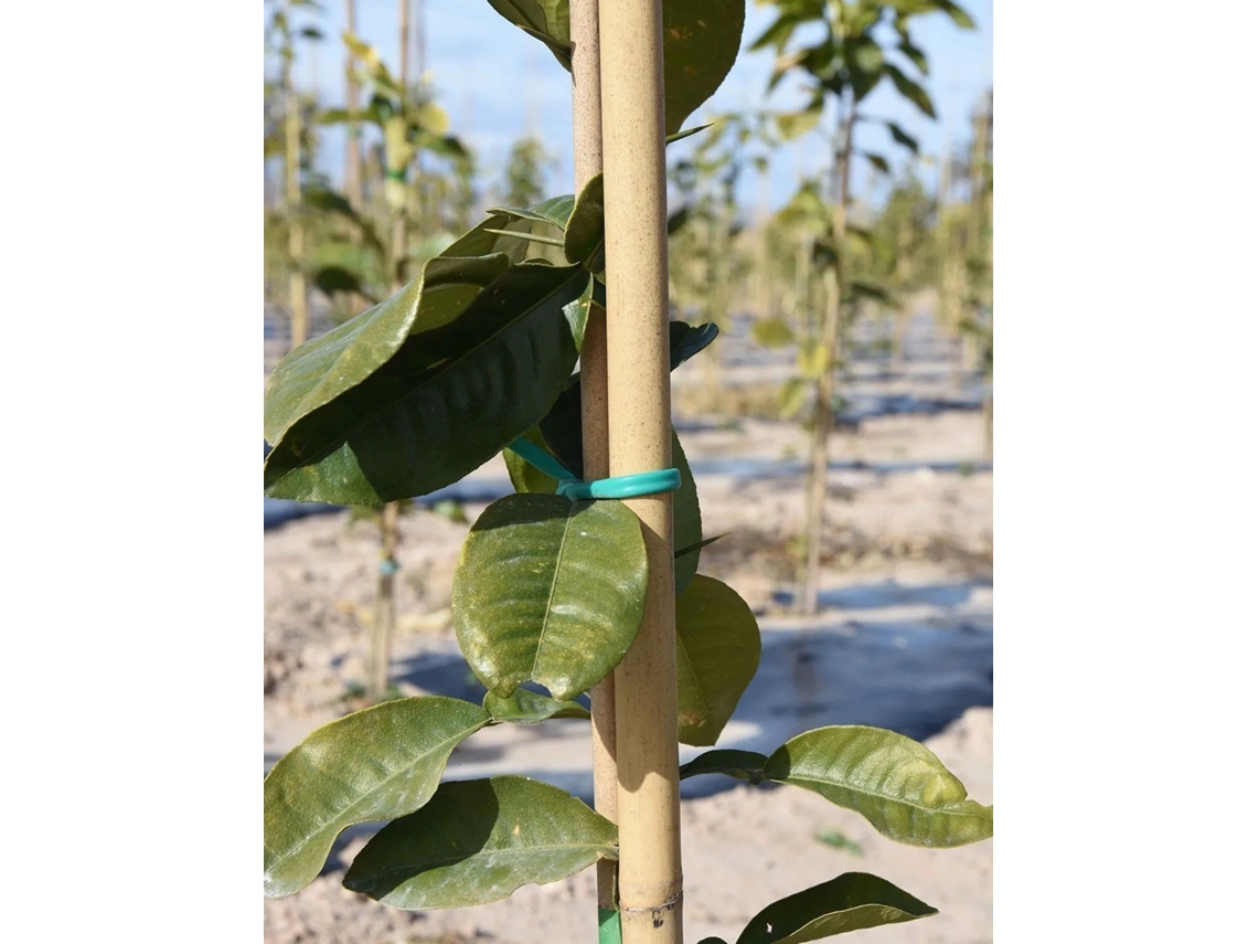 Bala Tutor Bambú Pack 500 Unidades - Varillas De Bambú Natural Para Jardinería Y Cultivos Alt: 90cm / Diam: 8-10mm