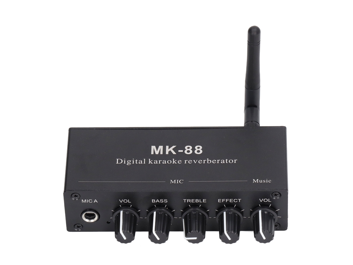 Amplificador Estéreo Com Reverb Digital Bluetooth 5.0 Entrada Dupla De Microfone Dc 12v