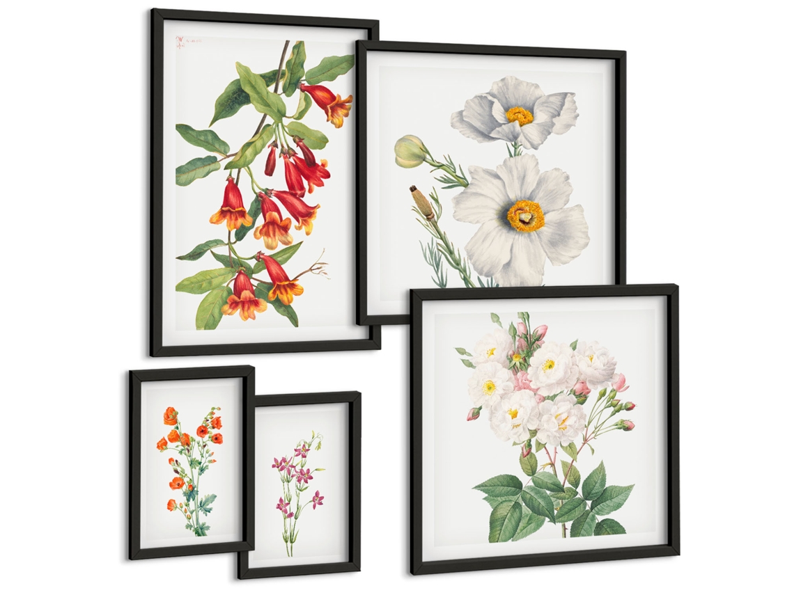 Conjunto De Pinturas Ilustrações Florais Botânicas Espelharte (5 Peças)