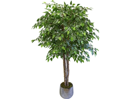 Planta Artificial MAIA SHOP Ficus Excelsior (Verde - 190 cm)