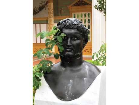 Livro Cellybrain De Ray Potes (inglês)