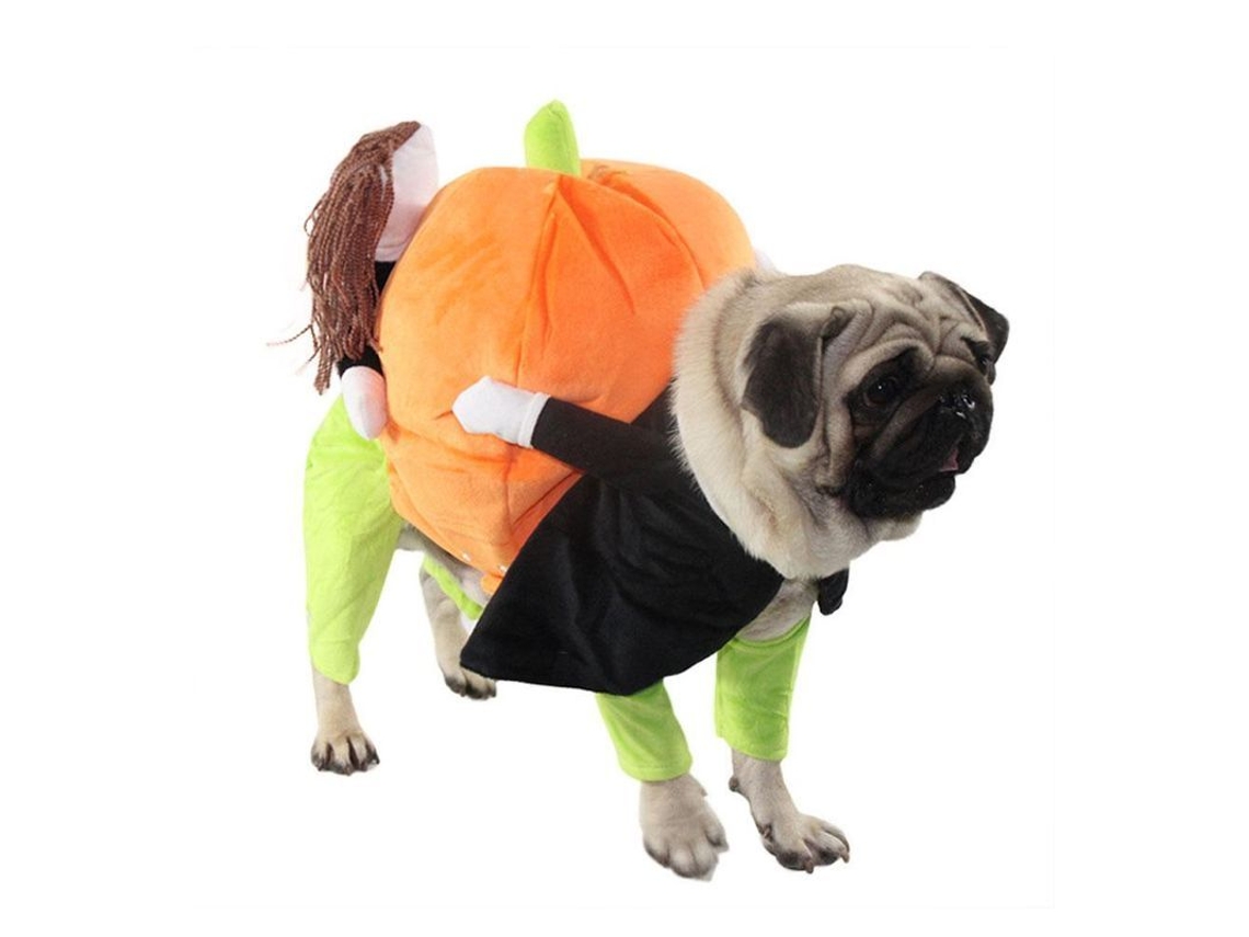 Disfraz De Abóbora Para Cachorro Traje De Halloween Divertido Mascota Eventos Especiales Ropa Ayy