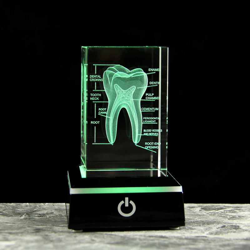 Modelo de Dente de Cristal Gravado a Laser em 3d, Acessório Didático MDUG (com Base Led Preta, 5x5x8 Cm)