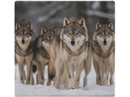 Conjunto De Almofadas Quadradas Wolf Para Adultos, Almofadas De Chão Em Espuma Viscoelástica Com Capa Removível E
