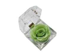 1 Unidade De Flores Frescas Preservadas Para Presentes De Meninas Allinless