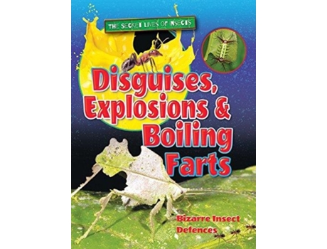 Livro disguises, explosions and boiling farts de owen, ruth (inglês)
