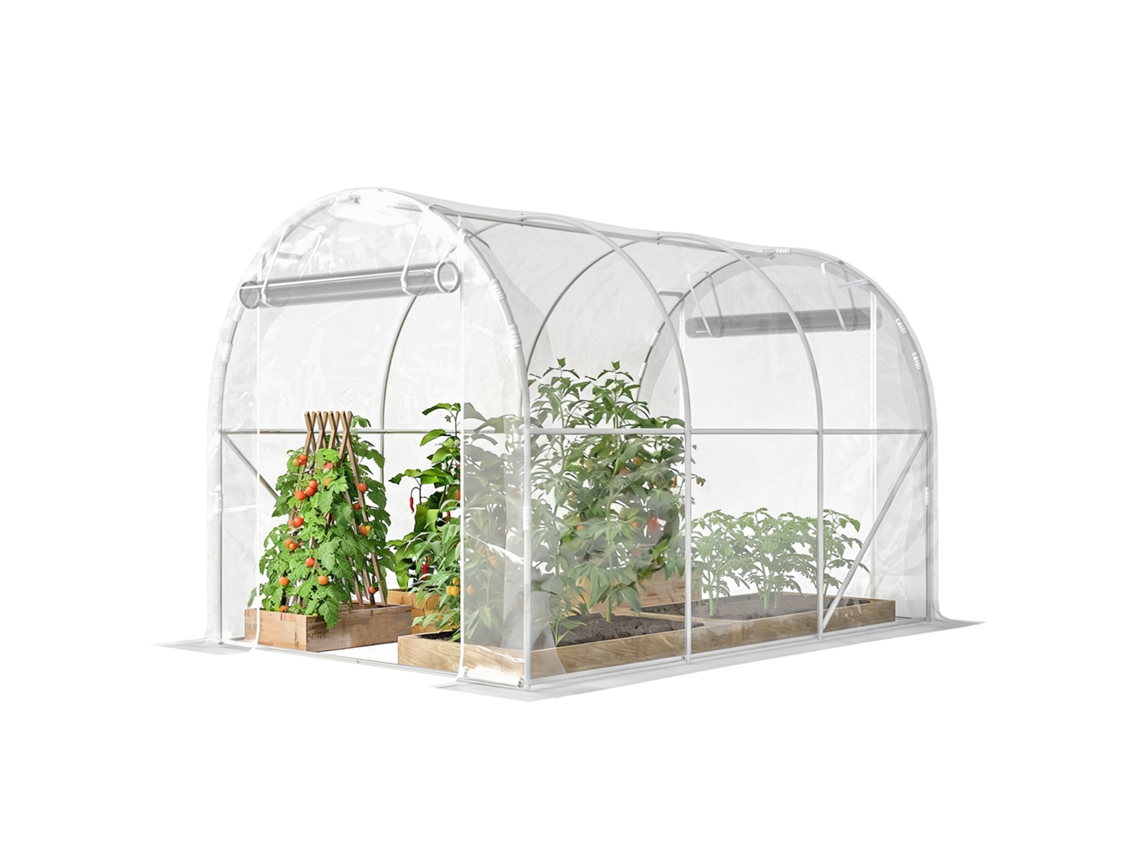 Estufa Tipo Transparente Túnel 195x295x195 Cm Com 2 Portas Enroláveis Estrutura De Aço Galvanizado E Cobertura Em Pe 150g/m²