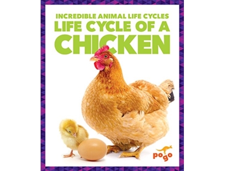 Livro life cycle of a chicken de karen kenney (inglês)
