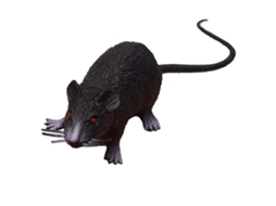 Miniatura de rato Mali em plástico, simulando um pequeno animal, com toque realista, ideal para atividades educativas de Halloween.